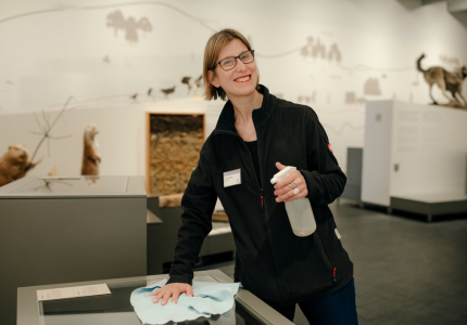 Eine Frau putzt eine Vitrine in einem Museum.